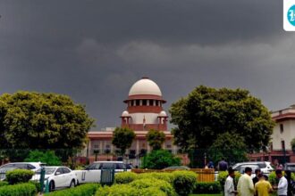 the-cabinet-approves-a-draft-law-to-add-four-more-judges-to-the-supreme-court
