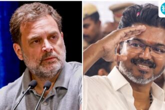 rahul-gandhi’s-shout-out-to-vijay-amid-tamil-nadu-alliance-uproar-as-tvk-fails:-‘talk-to-him’