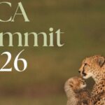 global-big-cat-summit-to-promote-south-south-cooperation:-bhupinder-yadav