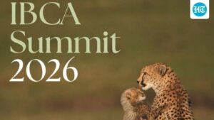 global-big-cat-summit-to-promote-south-south-cooperation:-bhupinder-yadav