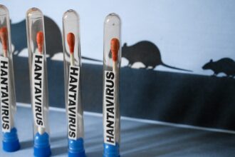 is-hanta-virus-contagious?-outbreak-updates,-treatment-information-and-mortality-rate
