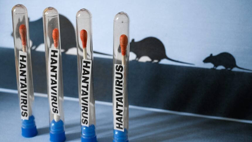 is-hanta-virus-contagious?-outbreak-updates,-treatment-information-and-mortality-rate