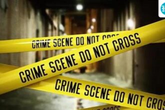 crime-rates-decreased,-and-pending-cases-did-not-decrease-in-2024