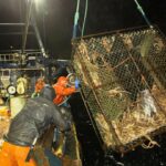 ‘deadliest-catch’-heads-to-canadian-waters-as-the-us-reality-series-gets-its-first-international-adaptation