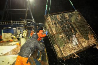 ‘deadliest-catch’-heads-to-canadian-waters-as-the-us-reality-series-gets-its-first-international-adaptation