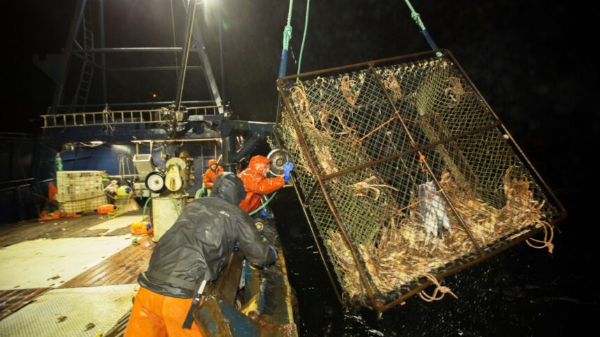 ‘deadliest-catch’-heads-to-canadian-waters-as-the-us-reality-series-gets-its-first-international-adaptation