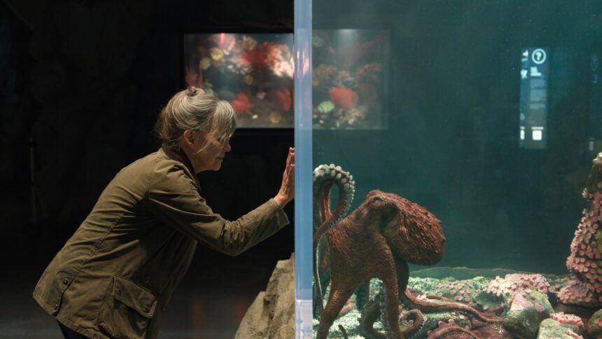 ‘remarkably-bright-creatures’-review:-sally-field-and-lewis-pullman’s-sparkle-in-the-warmly-funny-and-poignant-drama-on-netflix