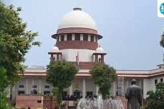 the-supreme-council-for-women-proposes-the-position-of-permanent-vice-president-of-the-supreme-court-bar-association