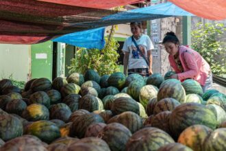 the-mystery-of-watermelon’s-death-deepens-after-a-bottle-of-rat-poison-is-found