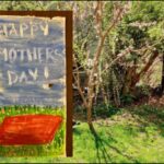 book-box:-breaking-the-mother-daughter-code