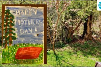 book-box:-breaking-the-mother-daughter-code