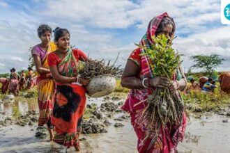 the-center-informs-vb-gramg;-rural-employment-act-for-125-days-to-replace-mgnrega-with-effect-from-july-1