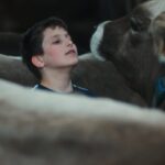 in-“gabin,”-a-documentary-filmed-over-the-course-of-a-decade-in-cannes,-a-boy-finds-himself-caught-between-his-family’s-farming-life-and-his-own-dreams.