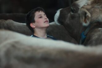 in-“gabin,”-a-documentary-filmed-over-the-course-of-a-decade-in-cannes,-a-boy-finds-himself-caught-between-his-family’s-farming-life-and-his-own-dreams.