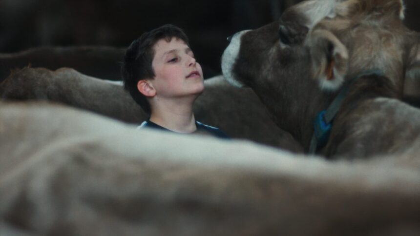 in-“gabin,”-a-documentary-filmed-over-the-course-of-a-decade-in-cannes,-a-boy-finds-himself-caught-between-his-family’s-farming-life-and-his-own-dreams.