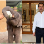 son-of-sp-patriarch,-leeds-educated,-gym-owner,-animal-lover:-who-is-prateek-yadav