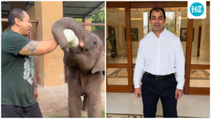 son-of-sp-patriarch,-leeds-educated,-gym-owner,-animal-lover:-who-is-prateek-yadav