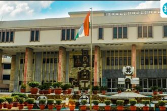 delhi-hc-directs-google-and-apple-to-act-against-apps-promoting-obscene-content