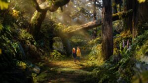 leica-unveils-the-teaser-trailer-for-wildwood-at-cannes