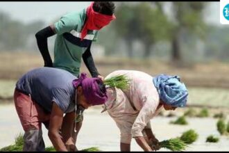 the-cabinet-approves-an-increase-in-the-minimum-price-for-14-kharif-crops-for-the-period-2026-27.