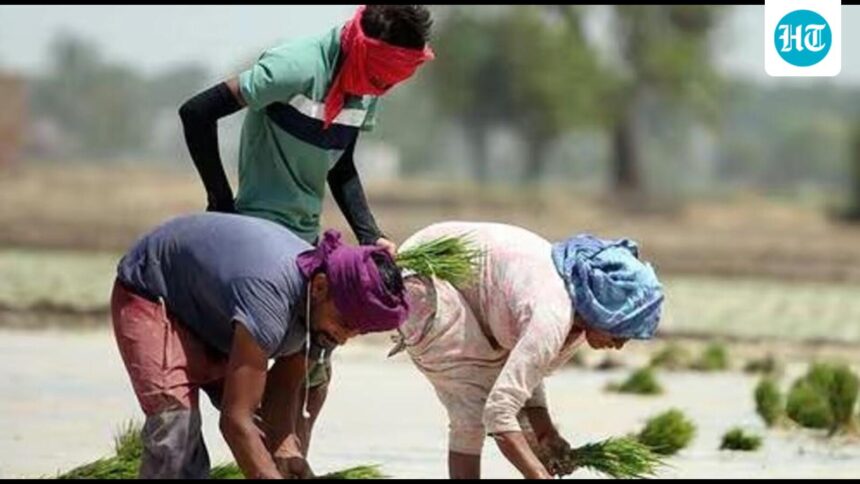 the-cabinet-approves-an-increase-in-the-minimum-price-for-14-kharif-crops-for-the-period-2026-27.