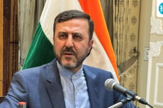 iran-will-welcome-the-indian-peace-initiative-and-the-brics-country-prevents-consensus:-iranian-minister