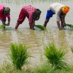 the-cabinet-approves-an-increase-in-the-minimum-average-of-14-kharif-crops-for-the-2026-27-marketing-season.