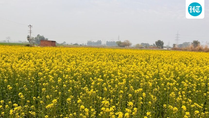 punjab-is-witnessing-improved-connectivity-and-improved-agricultural-infrastructure-with-the-help-of-centre’s-schemes