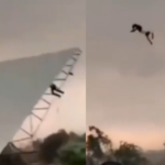 bareilly-man-carrying-tin-shed-lifts-nearly-50-feet-in-air-as-strong-wind-gusts:-video