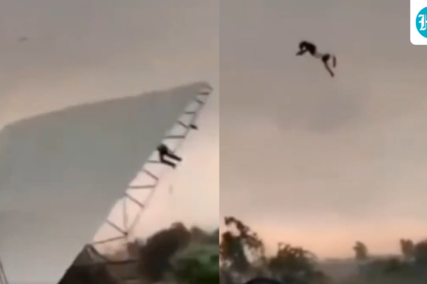 bareilly-man-carrying-tin-shed-lifts-nearly-50-feet-in-air-as-strong-wind-gusts:-video