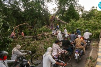 111-people-were-killed-across-uttar-pradesh-due-to-snowstorms-and-heavy-rains-that-caused-devastation-in-25-districts.