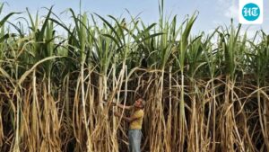 india-bans-sugar-exports-until-september-2026