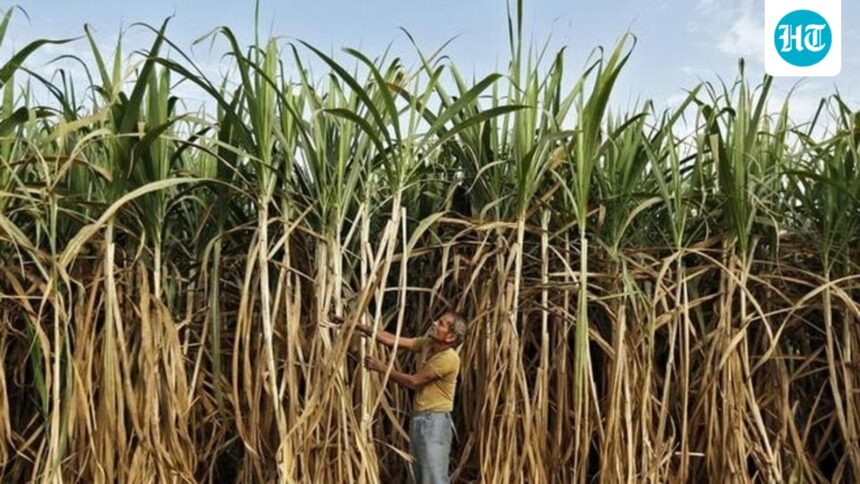 india-bans-sugar-exports-until-september-2026