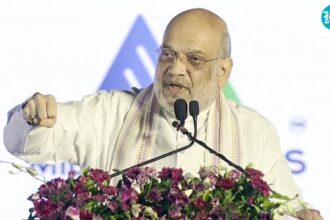 amit-shah-says-gujarat-should-be-a-leader-in-the-services-and-it-sector-as-well