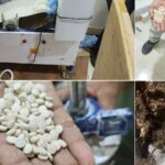 ncb-busts-dehradun-factory-manufacturing-banned-‘jihadi-drug’-captagon;-a-search-is-underway-for-another-syrian-citizen-linked-to-the-network