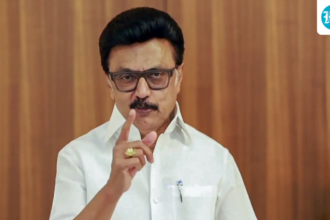 mk-stalin-hopes-for-a-comeback,-says-tvk-lacks-an-organizational-structure