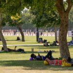 noida,-ghaziabad-residents-receive-‘worse-than-pigeons’-alert-amid-intense-heatwave