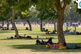 noida,-ghaziabad-residents-receive-‘worse-than-pigeons’-alert-amid-intense-heatwave