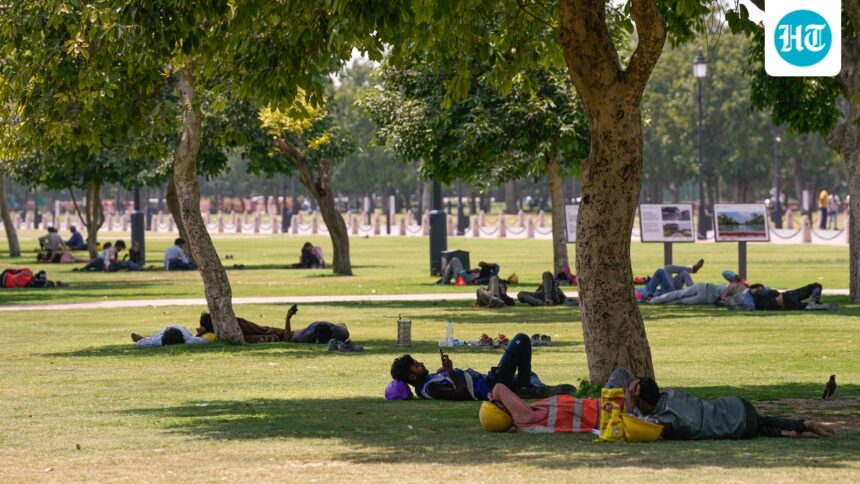 noida,-ghaziabad-residents-receive-‘worse-than-pigeons’-alert-amid-intense-heatwave
