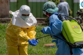 india-conducts-high-level-review-amid-ebola-outbreak-in-drc;-no-cases-have-been-reported