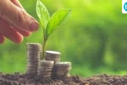 far-from-meeting-the-needs-of-developing-countries:-climate-activists-in-the-oecd-report