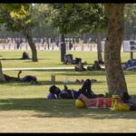 parts-of-delhi-record-‘warm-night’-conditions,-the-highest-may-temperature-in-14-years