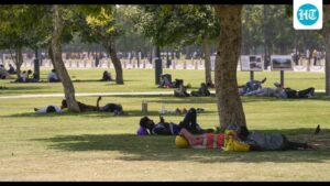 parts-of-delhi-record-‘warm-night’-conditions,-the-highest-may-temperature-in-14-years