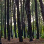 family-buries-wrong-body-after-mistaken-identity;-missing-man-returns-alive-in-jharkhand