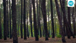 family-buries-wrong-body-after-mistaken-identity;-missing-man-returns-alive-in-jharkhand