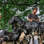 bakri-eid-2026:-the-center-reviews-the-eid-al-adha-holiday;-government-offices-will-remain-closed-on-may-28-instead-of-may-27