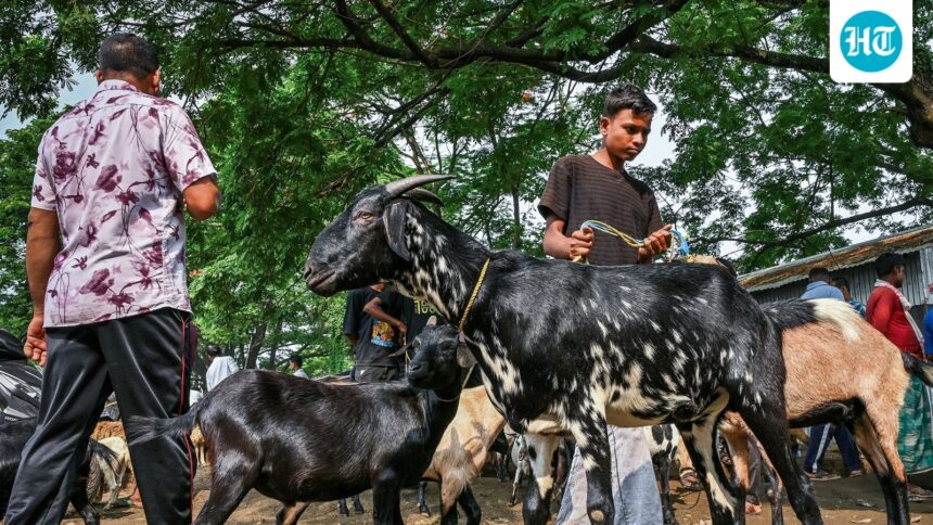 bakri-eid-2026-the-center-reviews-the-eid-al-adha-holiday-government-offices-will-remain-closed-on-may-28-instead-of-may-27 | GIBN bakri-eid-2026:-the-center-reviews-the-eid-al-adha-holiday;-government-offices-will-remain-closed-on-may-28-instead-of-may-27