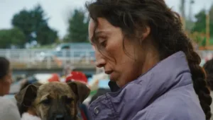 the-palm-dog-awards-are-dominated-by-female-dogs-and-handlers