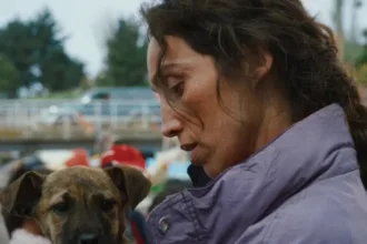 the-palm-dog-awards-are-dominated-by-female-dogs-and-handlers