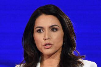 tulsi-gabbard-net-worth:-how-much-money-does-she-have-now?